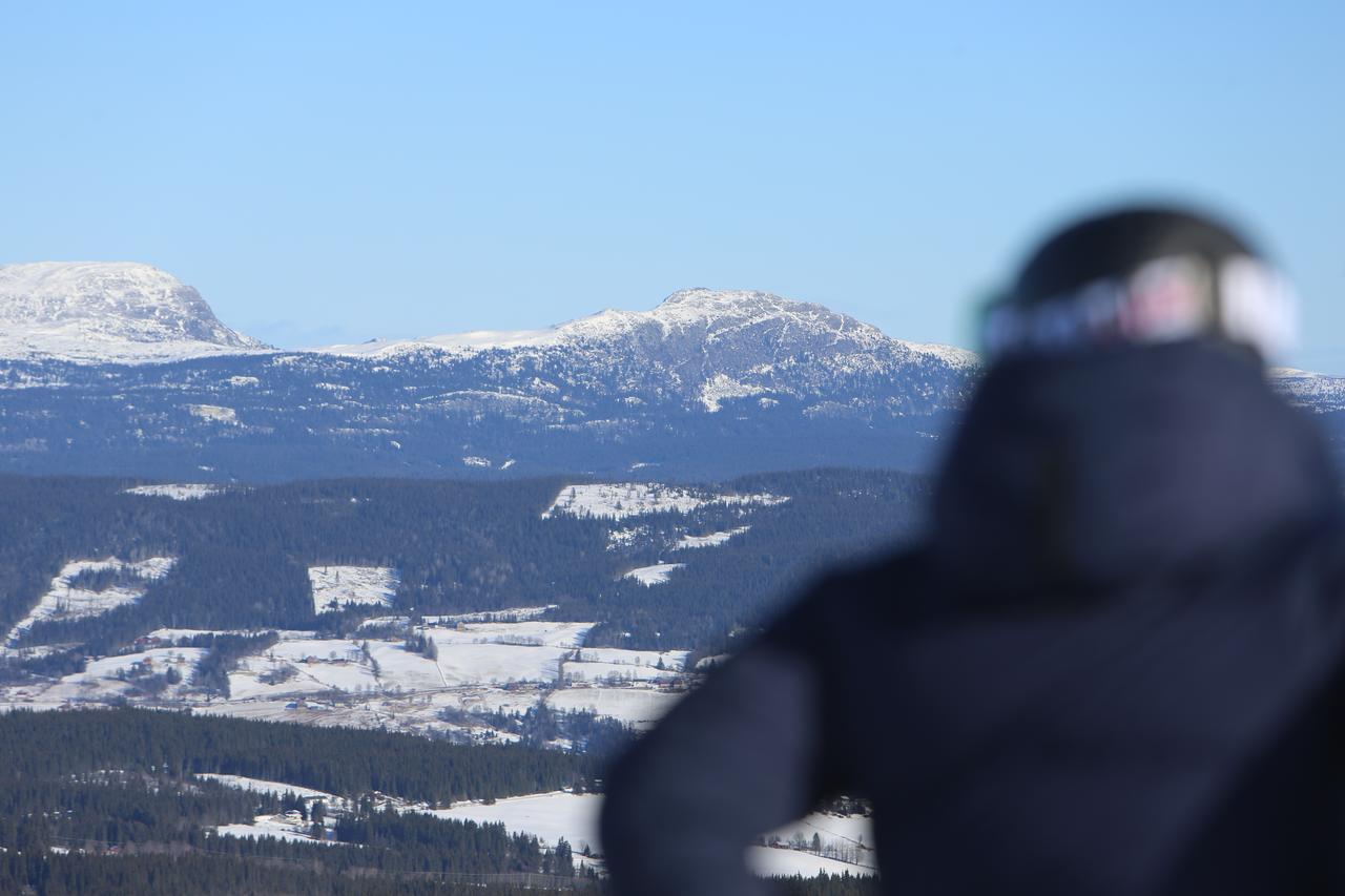Gomobu Fjellstue Hotel Ron Bagian luar foto