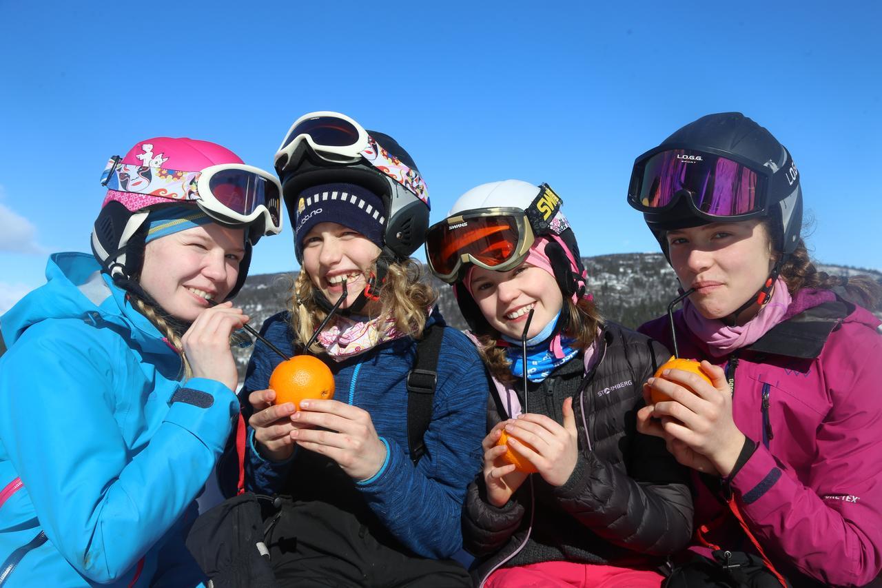 Gomobu Fjellstue Hotel Ron Bagian luar foto