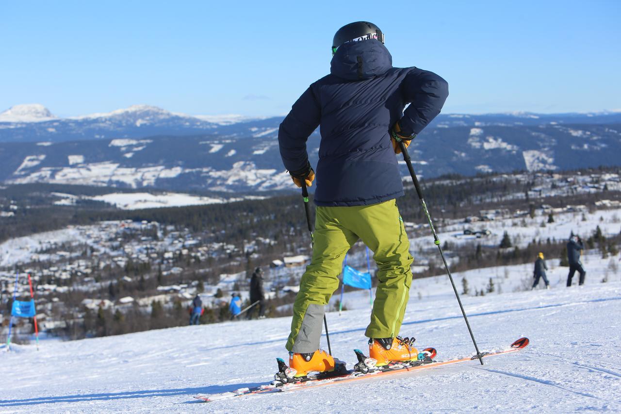Gomobu Fjellstue Hotel Ron Bagian luar foto