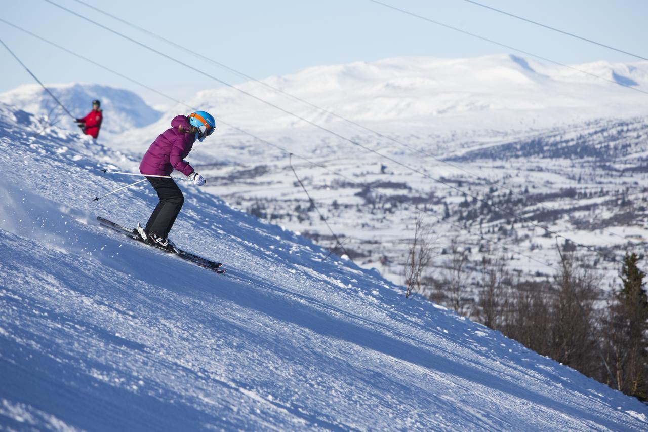 Gomobu Fjellstue Hotel Ron Bagian luar foto