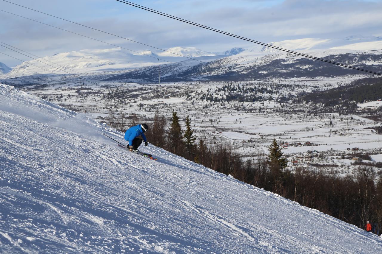 Gomobu Fjellstue Hotel Ron Bagian luar foto