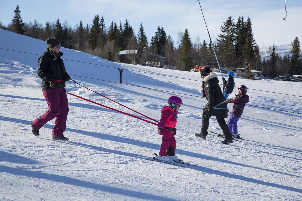Gomobu Fjellstue Hotel Ron Bagian luar foto