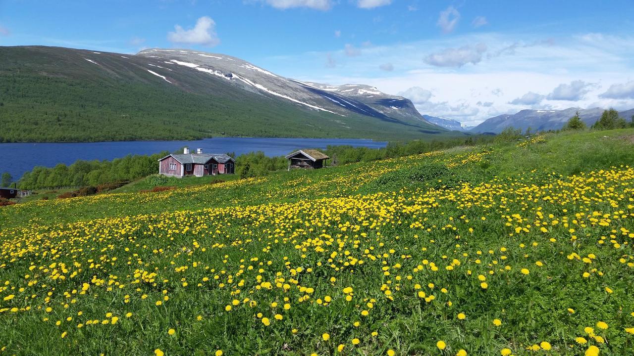 Gomobu Fjellstue Hotel Ron Bagian luar foto